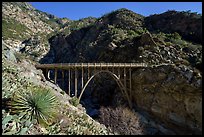 Yucca and Bridge to Nowhere. San Gabriel Mountains National Monument, California, USA ( color)