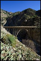 Cactus, yucca and Bridge to Nowhere. San Gabriel Mountains National Monument, California, USA ( color)