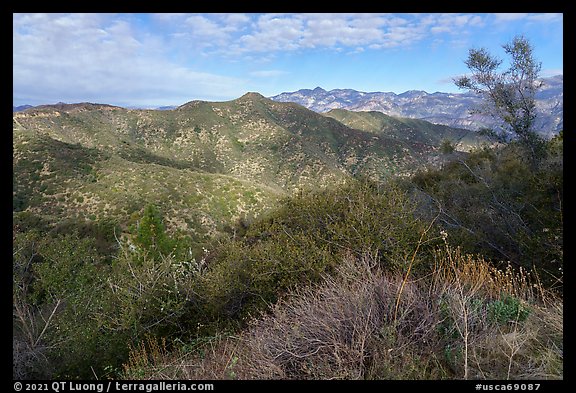 Shrubs, hills, and peak from Glendora Ridge. San Gabriel Mountains National Monument, California, USA