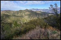 Shrubs, hills, and peak from Glendora Ridge. San Gabriel Mountains National Monument, California, USA ( color)