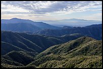 Hills and Los Angeles Basin from Glendora Ridge. San Gabriel Mountains National Monument, California, USA ( color)