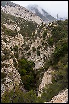Bear Canyon. San Gabriel Mountains National Monument, California, USA ( color)