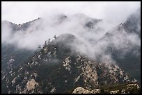 Peaks in fog above Bear Canyon. San Gabriel Mountains National Monument, California, USA ( color)