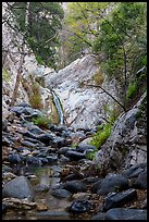 Boulders and Lower Switzer Falls. San Gabriel Mountains National Monument, California, USA ( color)