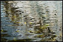 Ripples in pool below Lower Switzer Falls. San Gabriel Mountains National Monument, California, USA ( color)