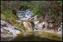 Arroyo Seco cascade. San Gabriel Mountains National Monument, California, USA ( color)