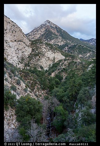 Peaks and Bear Canyon. San Gabriel Mountains National Monument, California, USA (color)