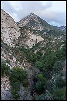 Peaks and Bear Canyon. San Gabriel Mountains National Monument, California, USA ( color)