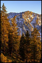 Galena Peak from San Gorgonio Mountain at sunset. Sand to Snow National Monument, California, USA ( color)
