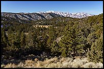 San Gorgonio range from the north in winter. Sand to Snow National Monument, California, USA ( color)