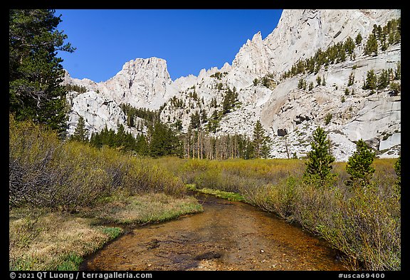 Meadow below Outpost Camp, Inyo National Forest. California, USA (color)