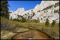 Meadow below Outpost Camp, Inyo National Forest. California, USA ( color)