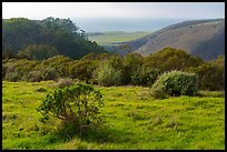 Pictures of Cotoni-Coast Dairies