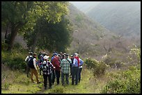 Group in canyon during ranger-led hike. Cotoni-Coast Dairies Unit, California Coastal National Monument, California, USA ( color)