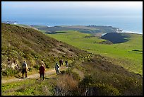 Group hiking above grassy marine coastal terrace. Cotoni-Coast Dairies Unit, California Coastal National Monument, California, USA ( color)