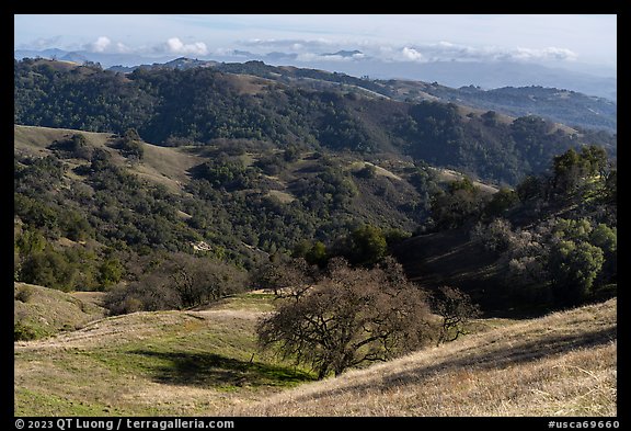 Hills, Middle Steer Ridge, Henry Coe State Park. California, USA (color)