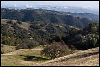 Hills, Middle Steer Ridge, Henry Coe State Park. California, USA ( color)