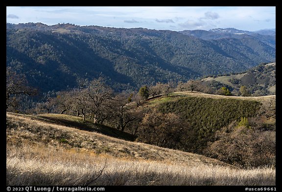 View from Steer Ridge, Henry Coe State Park. California, USA (color)