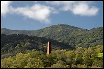 Almaden Quicksilver Chimney and Sierra Azul Range, Almaden Quicksilver County Park. San Jose, California, USA ( color)