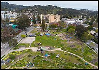 Aerial view of Peoples Park looking towards the hills. Berkeley, California, USA ( color)