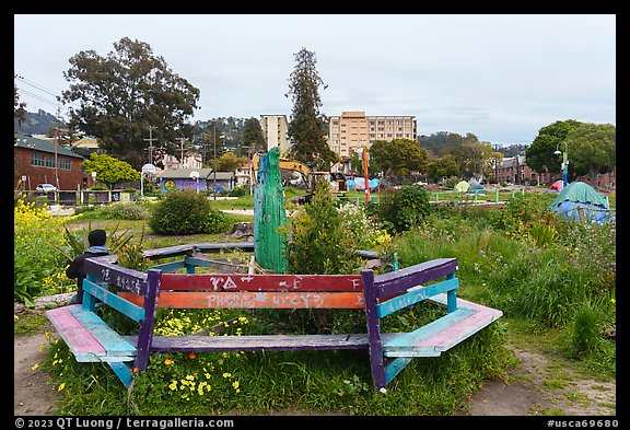 Bench, Peoples Park. Berkeley, California, USA (color)