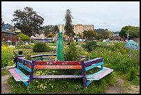 Bench, Peoples Park. Berkeley, California, USA ( color)