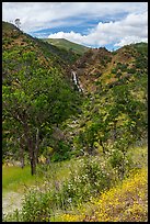 Zim Zim Fall and Zim Zim Creek in the spring. Berryessa Snow Mountain National Monument, California, USA ( color)