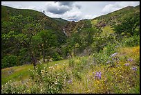 Wildflowers and Zim Zim waeterfall. Berryessa Snow Mountain National Monument, California, USA ( color)