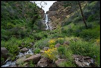 Sunflowers at the base of Zim Zim Fall. Berryessa Snow Mountain National Monument, California, USA ( color)