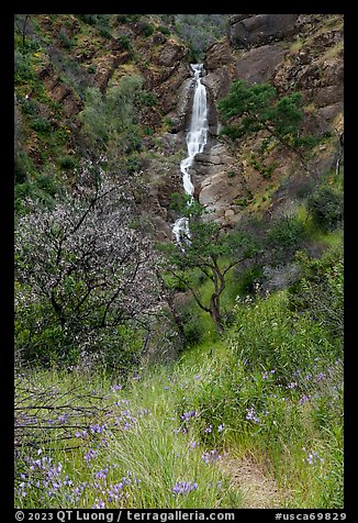 Ithuriel Spear and Zim Zim Falls in the spring. Berryessa Snow Mountain National Monument, California, USA (color)