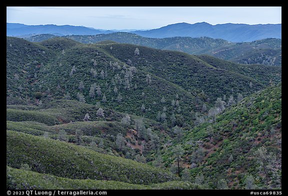 Shrub-covered hills from Condor Ridge. Berryessa Snow Mountain National Monument, California, USA (color)