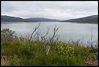 Shore of Indian Valley Resevoir in the spring. Berryessa Snow Mountain National Monument, California, USA ( color)