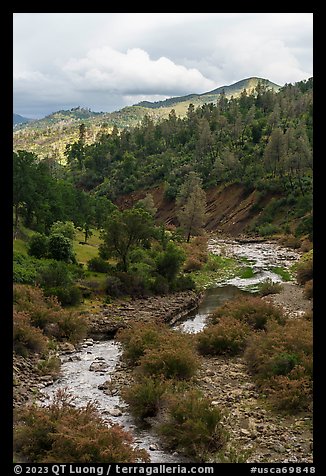 Bear Creek near the confluence with Cache Creek. Berryessa Snow Mountain National Monument, California, USA (color)