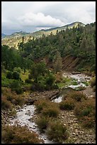 Bear Creek near the confluence with Cache Creek. Berryessa Snow Mountain National Monument, California, USA ( color)