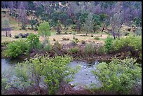 Cache Creek Canyon Regional Park. Berryessa Snow Mountain National Monument, California, USA ( color)