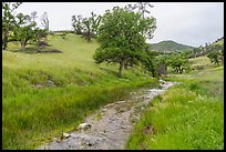 Zim Zim Creek in the spring. Berryessa Snow Mountain National Monument, California, USA ( color)