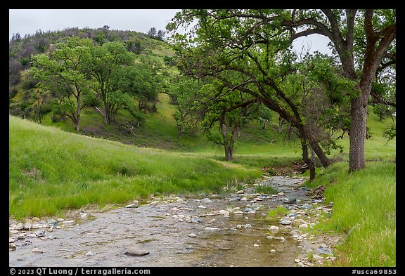 Clear waters flowing, Zim Zim Creek. Berryessa Snow Mountain National Monument, California, USA (color)