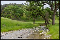 Clear waters flowing, Zim Zim Creek. Berryessa Snow Mountain National Monument, California, USA ( color)