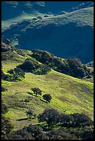 Hillsides in springtime. California, USA ( color)