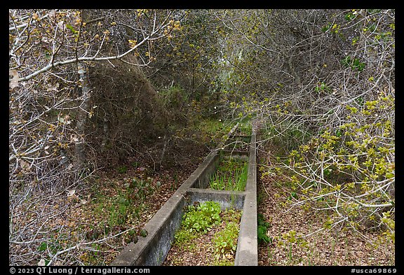 Abandonned horse water trough. California, USA (color)