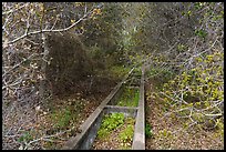 Abandonned horse water trough. California, USA ( color)