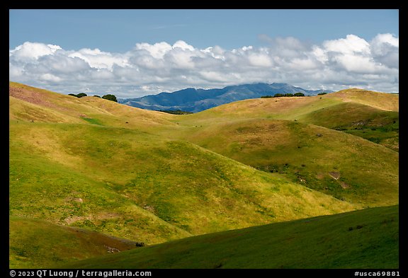 Rolling hills. California, USA (color)