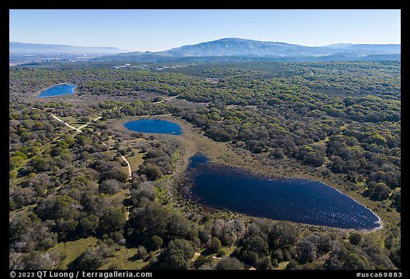 Aerial view of string of ponds. California, USA (color)