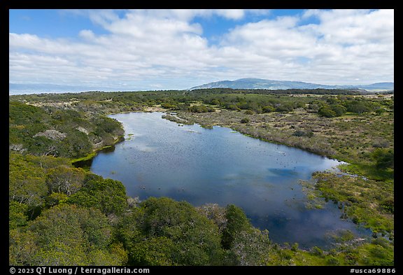 Aerial view of pond with Mt Toro in the distance. California, USA (color)