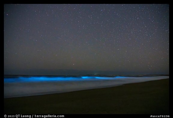 Bioluminescence in surf. Point Reyes National Seashore, California, USA (color)