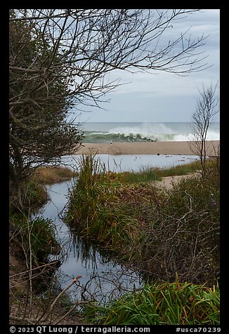 Stream and surf. Point Reyes National Seashore, California, USA