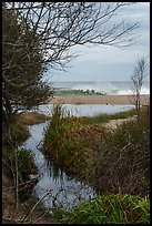 Stream and surf. Point Reyes National Seashore, California, USA ( color)