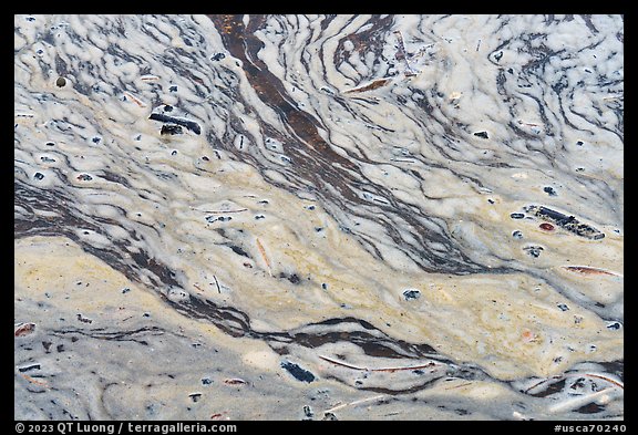 Pond surface detail. Point Reyes National Seashore, California, USA (color)