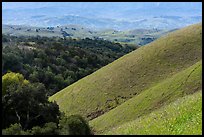 Evergreen hills in the spring. San Jose, California, USA ( color)