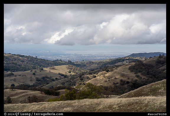Oak-covered hills with San Francisco Bay in the distance, Joseph Grant County Park. San Jose, California, USA (color)